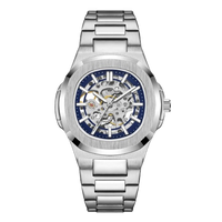 Silver / Blue